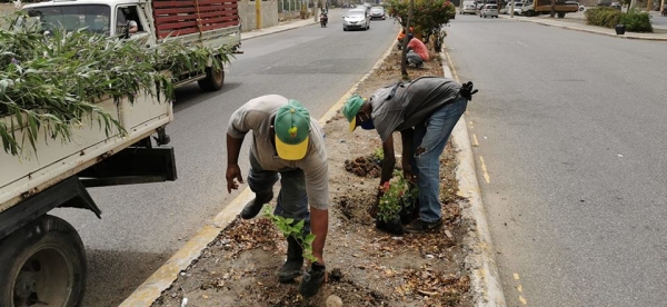 Digecac lleva  jornada de limpieza, poda y arborización   a la Av. Ecológica Mirador Norte.