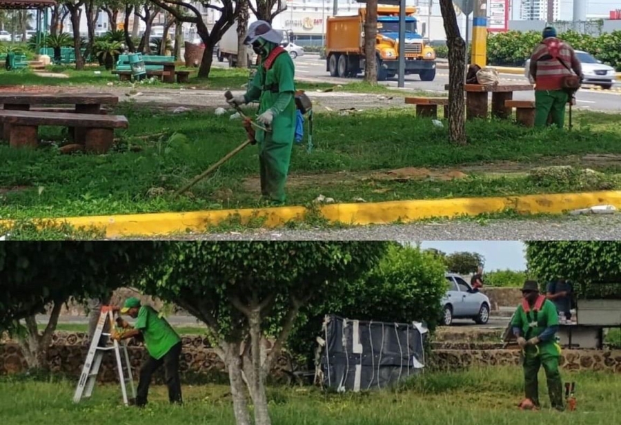 Imagen destacada