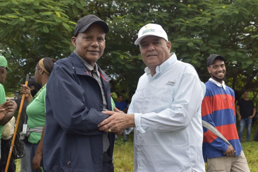 Imagen destacada