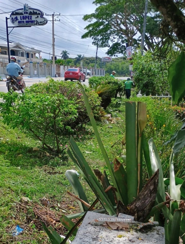 Imagen destacada