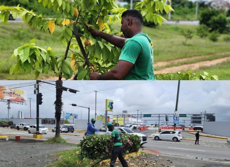 Imagen destacada