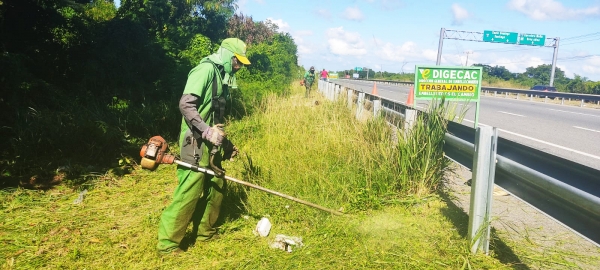 DIGECAC realiza operativo de limpieza general en las áreas verdes y zona costera de Boca Chica y Guayacanes
