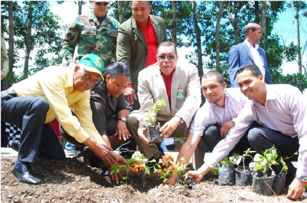 La DGE inicia trabajos de construcción de jardines en Autopista Duarte