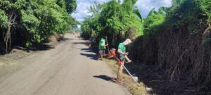Mantenimiento y embellecimiento de las áreas verdes, carreteras y avenidas del país