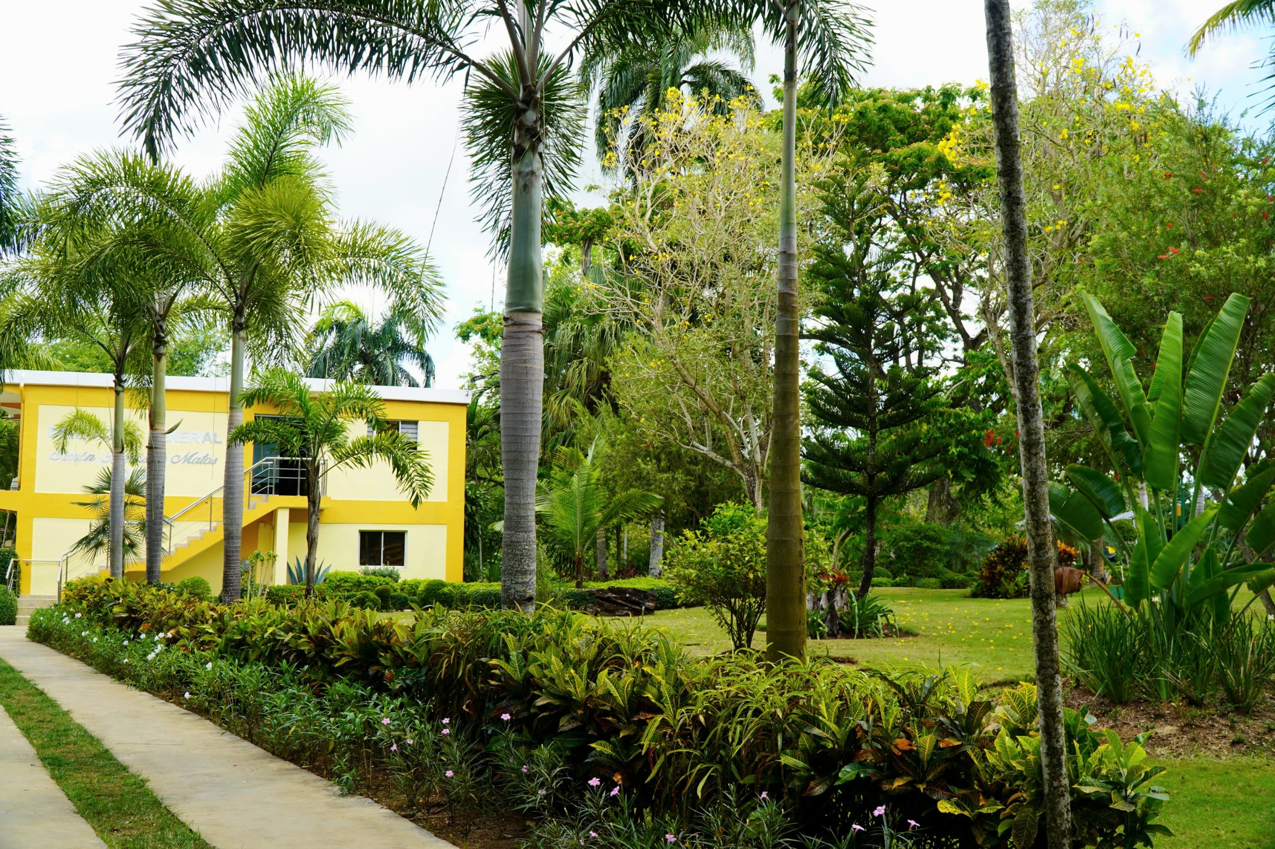 Descubre la belleza de nuestras plantas ornamentales.